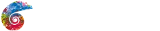Chameleon Financial Planning